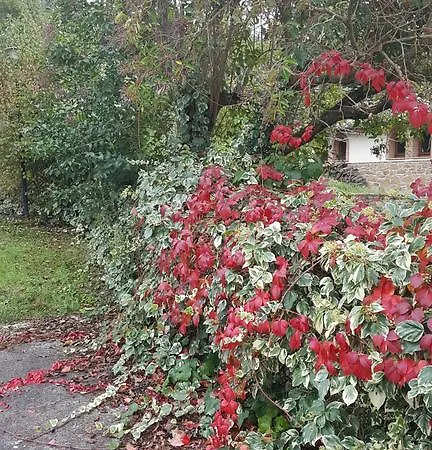 بيت للعطل Terrazza Sul Trasimeno مادجوني