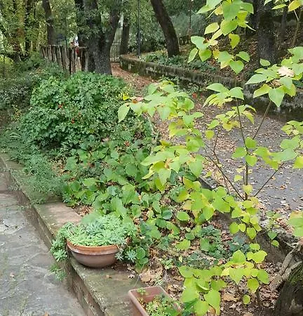 Terrazza Sul Trasimeno