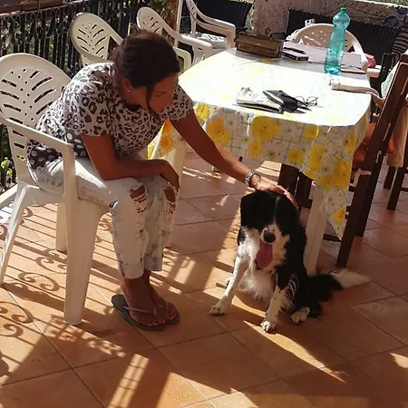 Terrazza Sul Trasimeno 度假居 *